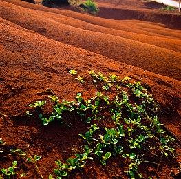 动画恐怖游戏《再见甜蜜卡罗尔》公布预告片